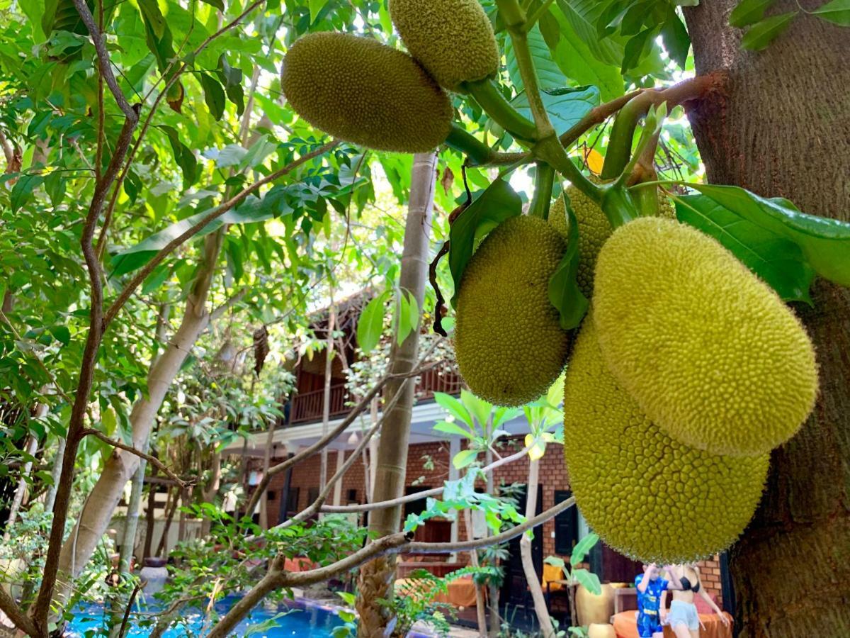 Petit Villa Boutique & Spa Siem Reap Eksteriør billede