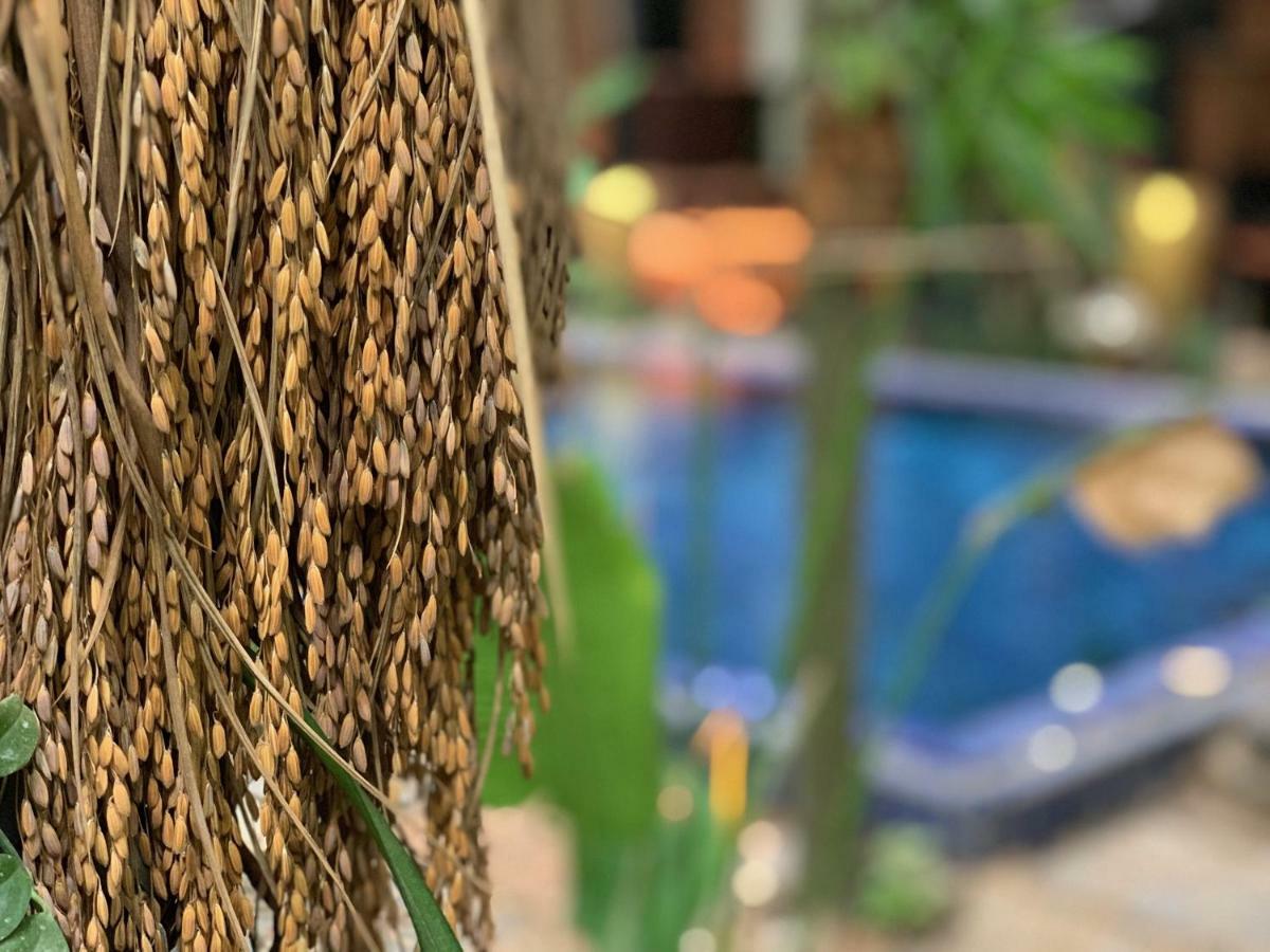 Petit Villa Boutique & Spa Siem Reap Eksteriør billede