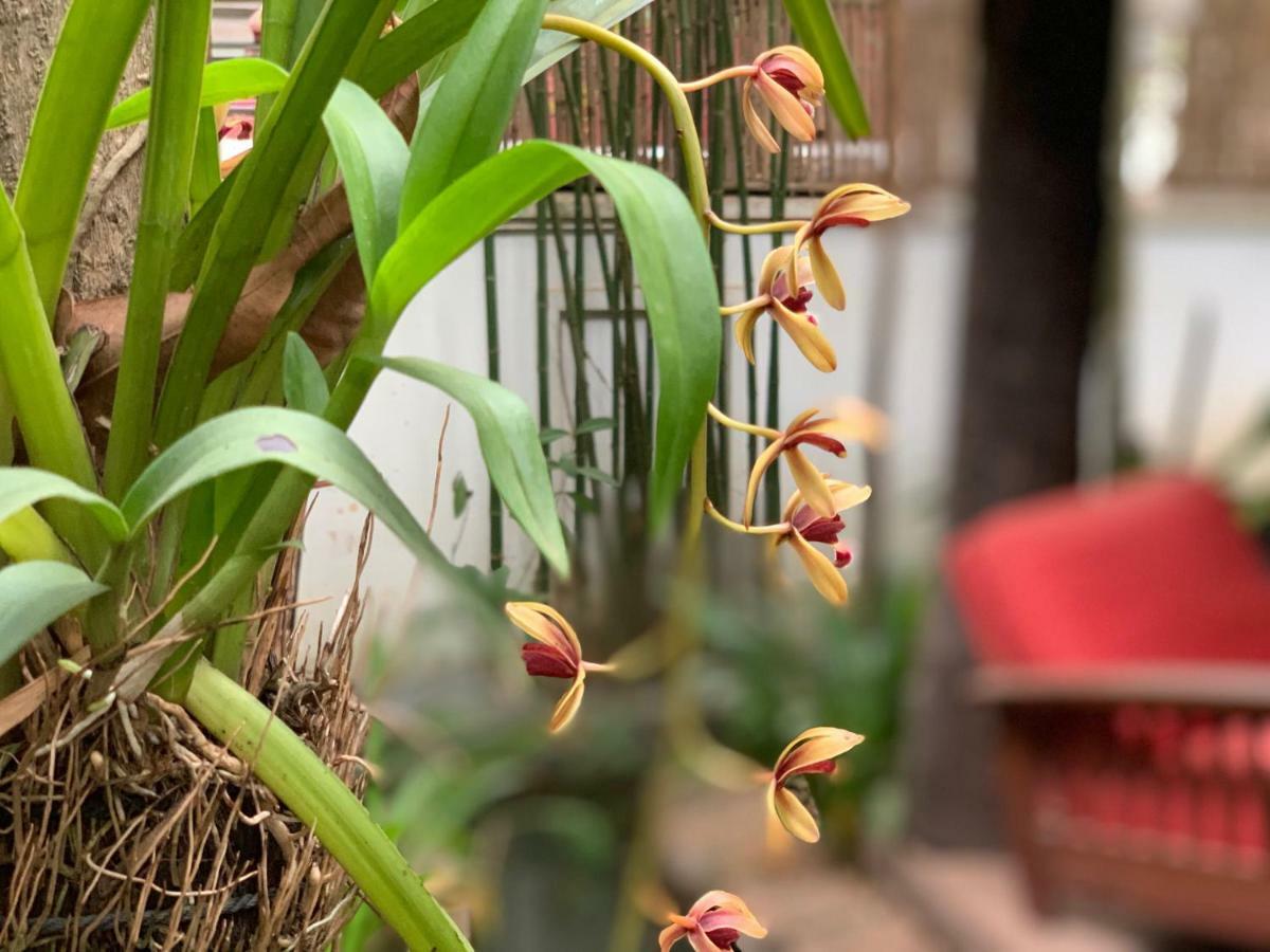 Petit Villa Boutique & Spa Siem Reap Eksteriør billede