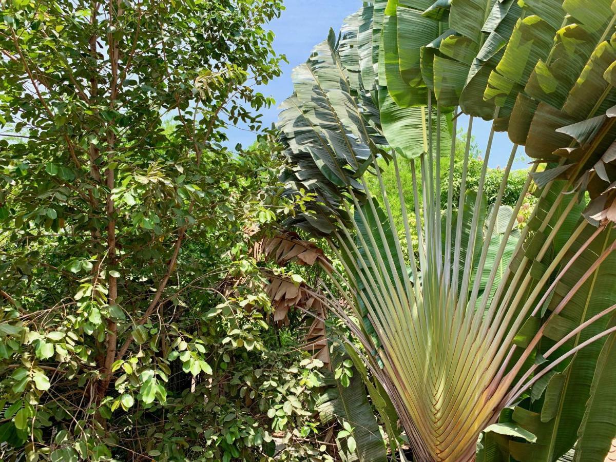 Petit Villa Boutique & Spa Siem Reap Eksteriør billede